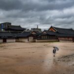 Korea cultural association membership application - Korea Culture