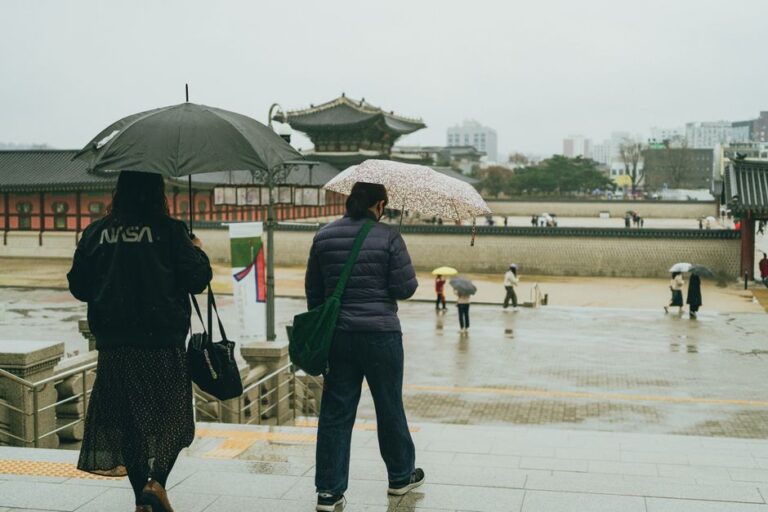 Korean climate and seasons packing - Korea Culture