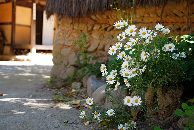 Korean folk village Yongin - Korea Culture