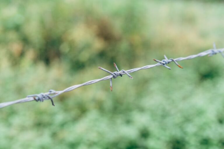 Modern Approaches to Booking a 2026 DMZ Tour