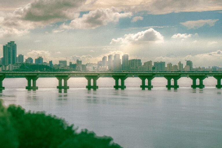 Seoul Expat Communities: Expectations Versus Reality