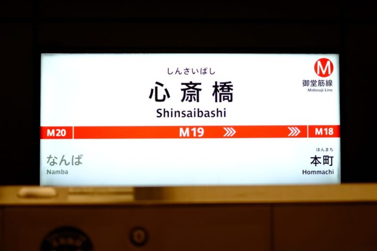 Mastering the Network of Korean Public Transit