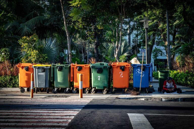 Unraveling the Intricacies of Recycling Rules for Expats in Korea